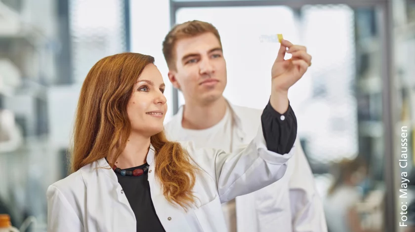 Innovative Spitzenforschung